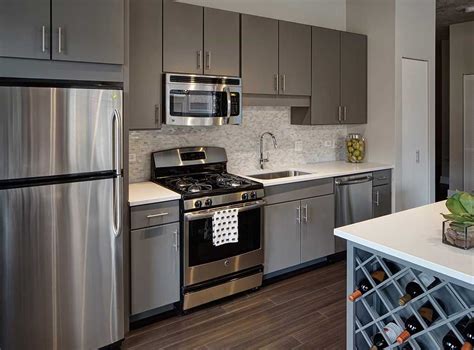 light gray cabinets with stainless steel appliances|stainless steel kitchen cabinets colors.